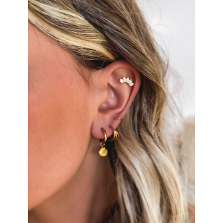 Boucles d'oreilles Shellfish - Doré