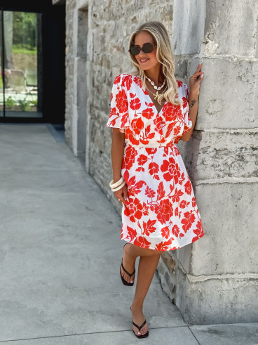 Majo29346 corail