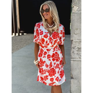 Majo29346 corail