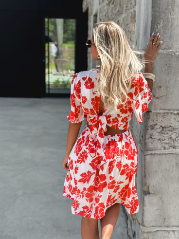 Majo29346 corail