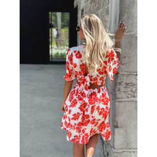 Majo29346 corail