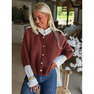 Gilet Danelie - Marron
