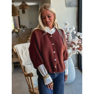 Gilet Danelie - Marron