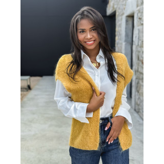 Belle3873-24117