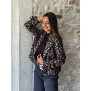 Majo80068