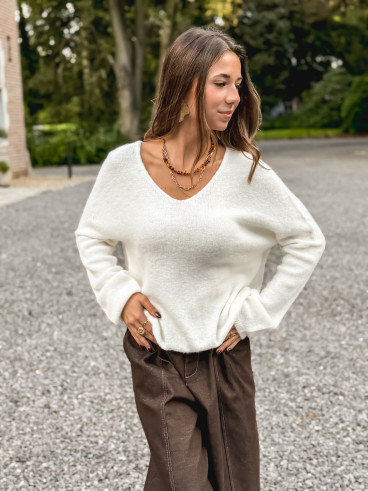Belle2505-panna