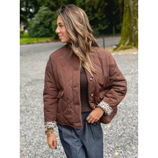 Veste Shanie - Chocolat