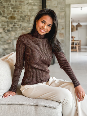 Pull col roulé Sylvara - Chocolat