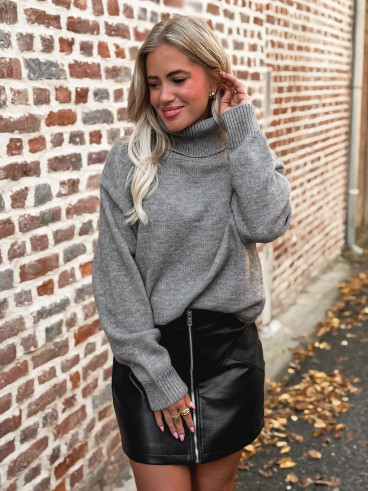 Pull col roulé Nolys - Gris