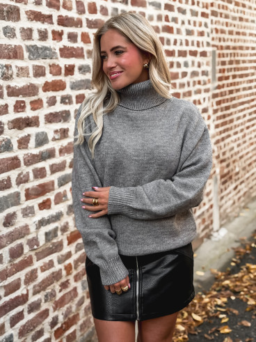 Pull col roulé Nolys - Gris