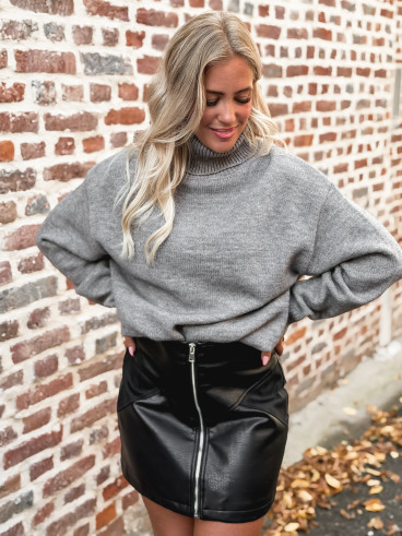 Pull col roulé Nolys - Gris