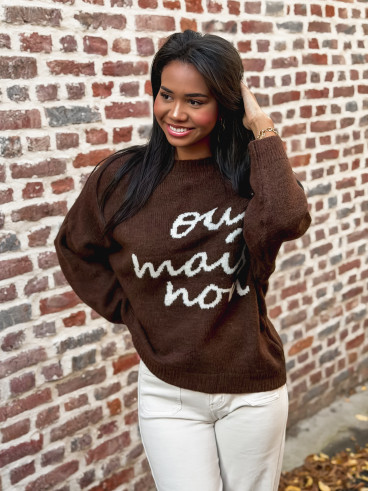 Pull "oui mais non" -  moka