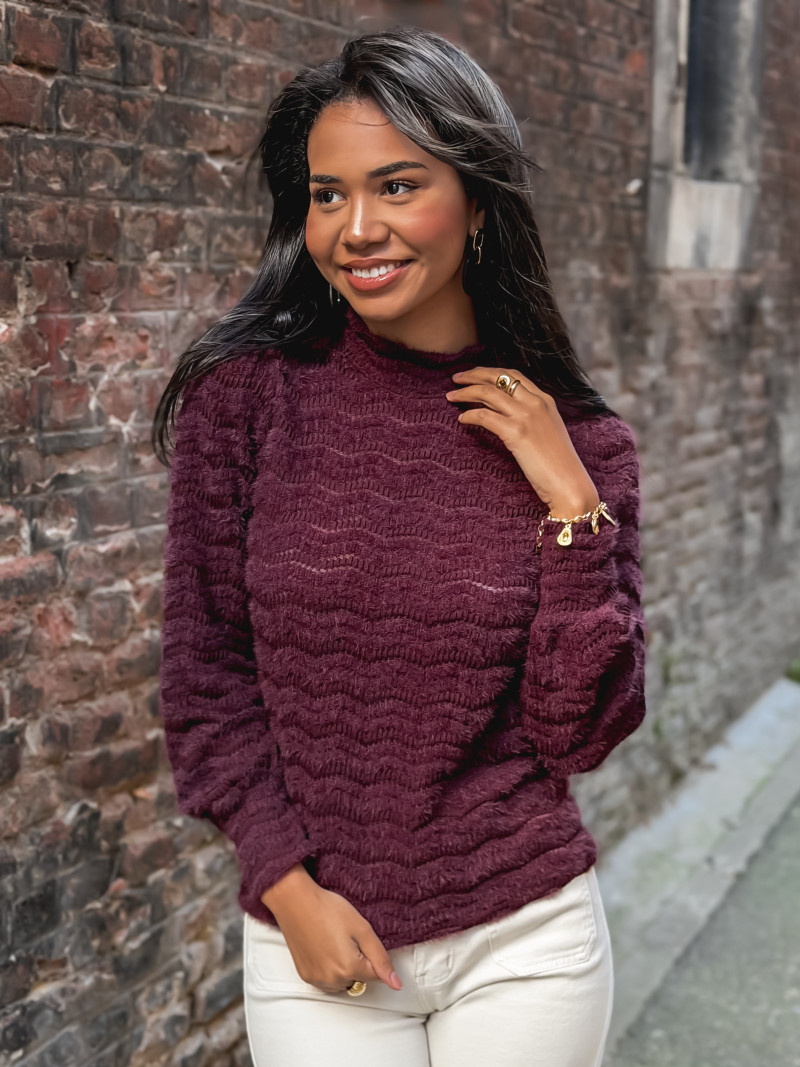 Pull Armela - Aubergine