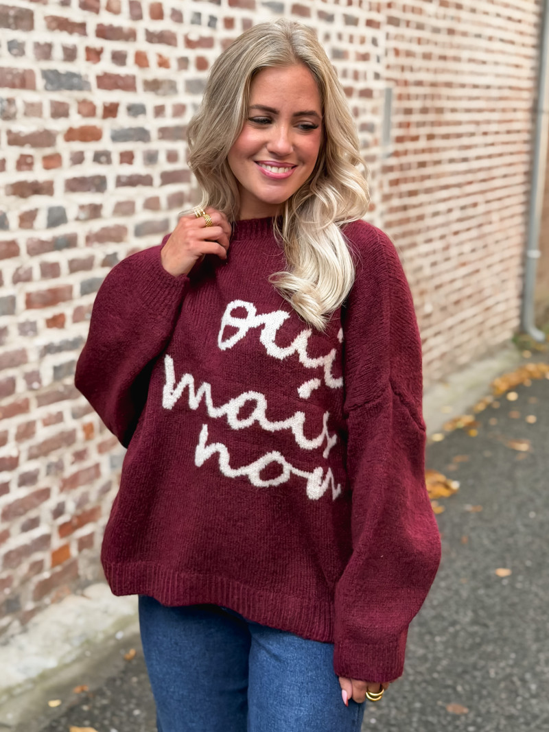 Pull "oui mais non" -  Bordeaux