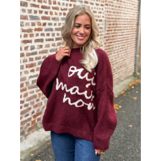 Pull "oui mais non" -  Bordeaux