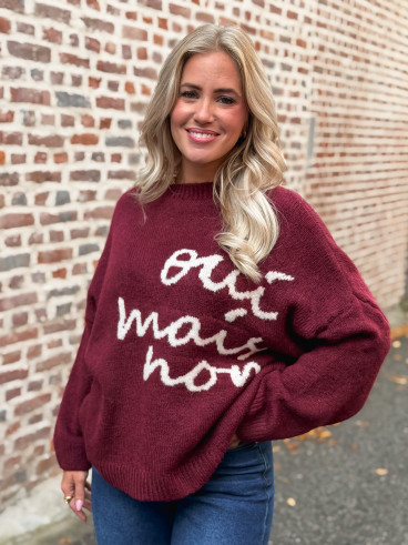 Pull "oui mais non" -  Bordeaux