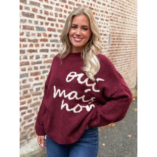 Pull "oui mais non" -  Bordeaux