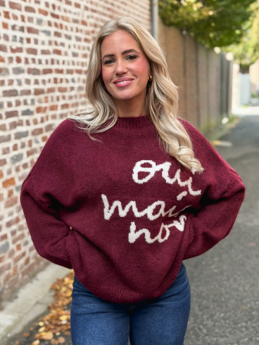Pull "oui mais non" -  Bordeaux