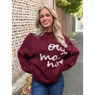 Pull "oui mais non" -  Bordeaux