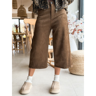 Bermuda Erica - Camel