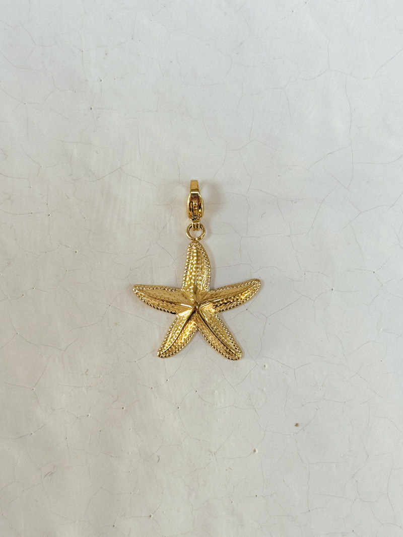 Charms Marinha - Doré