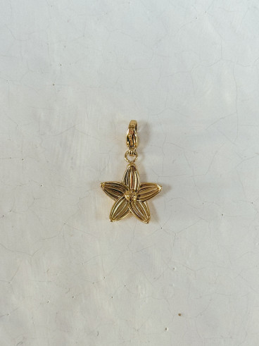 Charms Pétale - Doré