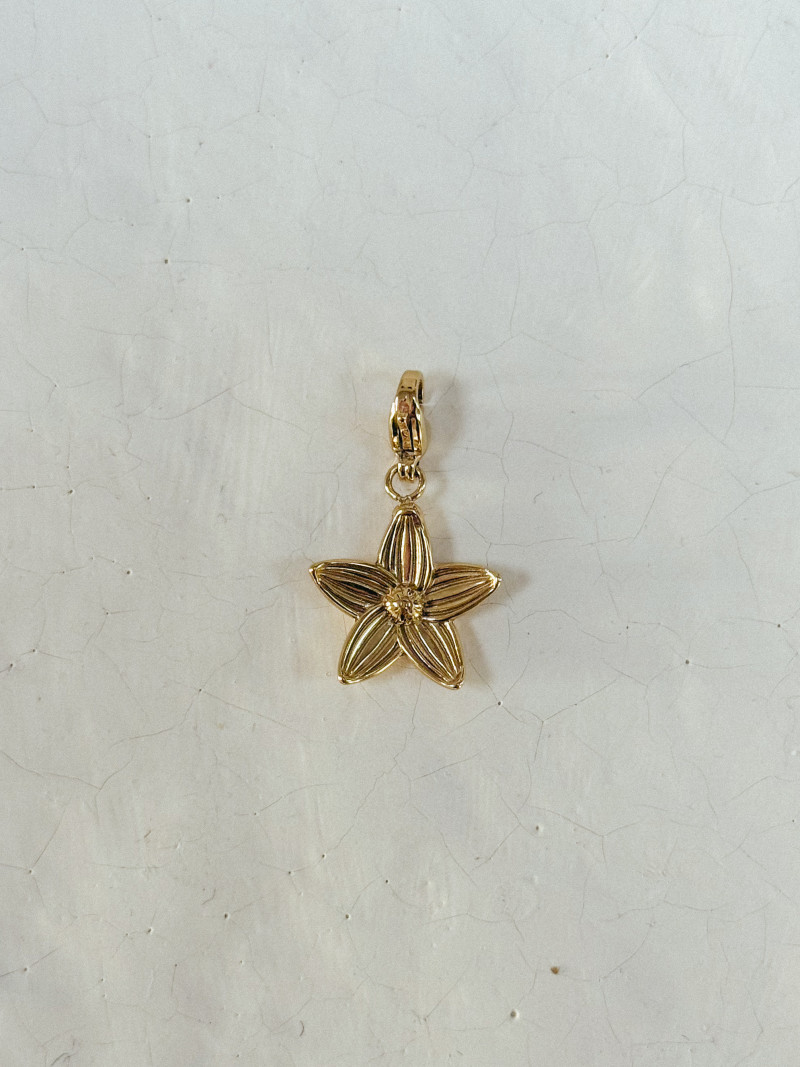 Charms Pétale - Doré