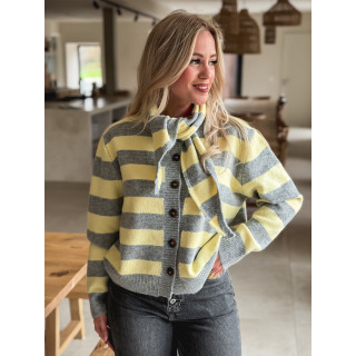 Gilet Ligné Elowya - Jaune/Gris