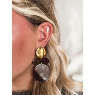 Boucles d'oreilles Chrysalis - Chocolat/Doré