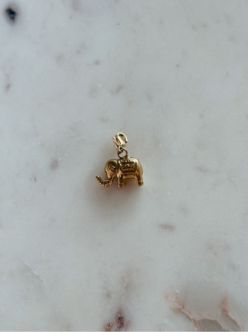 Charm Asie - Doré Charm Asie - Doré