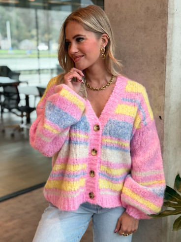 Gilet ligné Tess - Multicolore Gilet ligné Tess - Multicolore