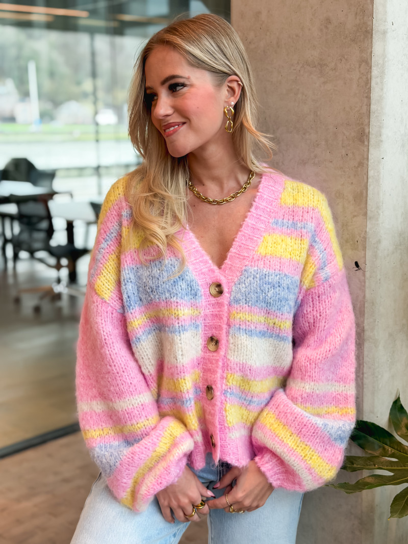 Gilet ligné Tess - Multicolore Gilet ligné Tess - Multicolore