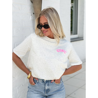 Crop t-shirt Amaliane - Gris