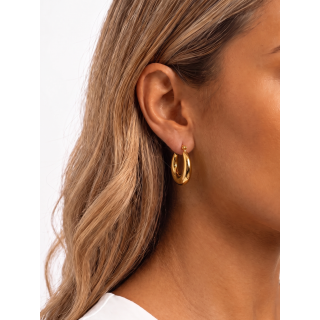 Boucles d'oreilles Nélise - Doré