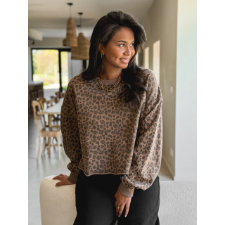 Pull léopard Erina - Taupe